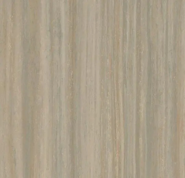 Picture of Forbo - Marmoleum Cinch Loc Seal 12 x 36 Bleached Gold