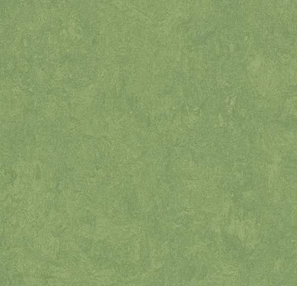 Picture of Forbo - Marmoleum Cinch Loc Seal 12 x 36 Leaf