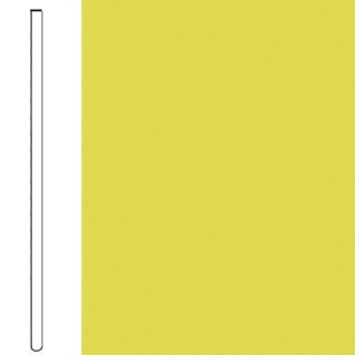 Picture of Flexco - Wallflowers Wall Base 4 Straight Sunglow