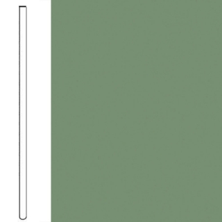 Picture of Flexco - Wallflowers Wall Base 4 Straight Asparagus