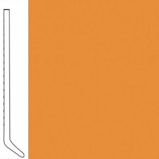 Picture of Flexco - Wallflowers Wall Base 6 Cove Toucan