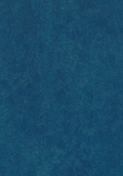 Picture of Forbo - Marmoleum Cinch Loc Seal 12 x 12 Marine