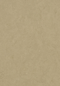 Picture of Forbo - Marmoleum Cinch Loc Seal 12 x 12 Oat