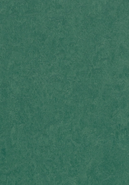 Picture of Forbo - Marmoleum Cinch Loc Seal 12 x 36 Hunter Green