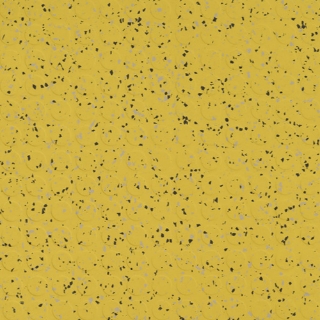 Picture of Flexco - SpexTones Radial II Sunglow w Neutrail Black Brown