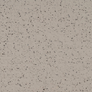 Picture of Flexco - SpexTones Radial Low Profile Meridian Bone w Barley Outer Banks