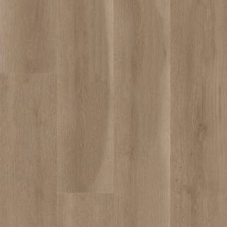 Picture of Shaw Floors - Aspire Natural Bevel Woodland Truffle