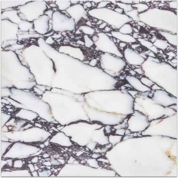 Picture of Elon Tile & Stone - Marble 12 x 12 Bianco Violetta Honed