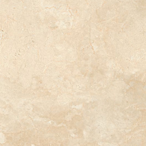 Picture of SantAgostino - Themar 24 x 24 Matte Crema Marfil