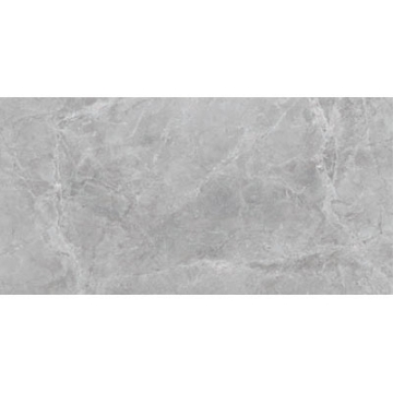 Picture of SantAgostino - Themar 12 x 24 Matte Grigio Savoia