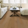 Picture of Shaw Floors - Empire Oak Hearst