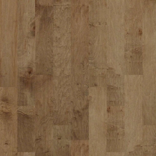 Picture of Shaw Floors - Pacific Grove Buckskin