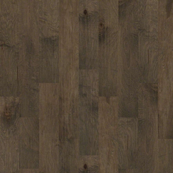 Picture of Shaw Floors - Pacific Grove Timberwolf