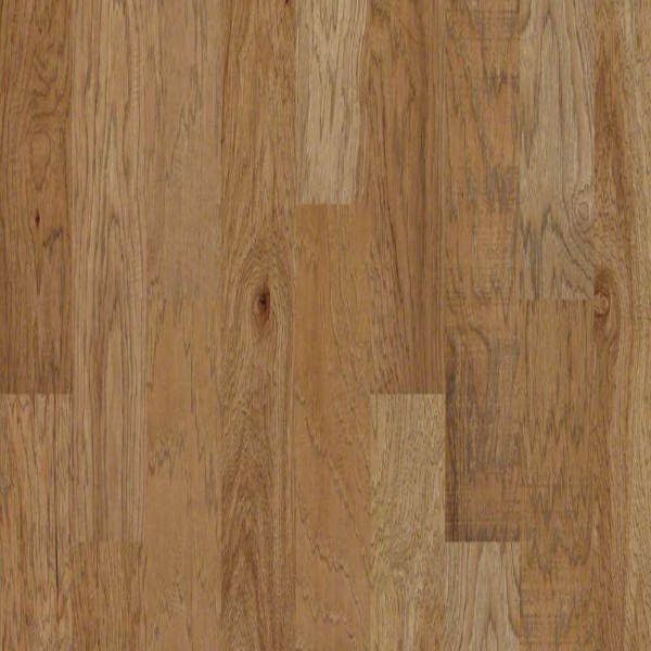 Picture of Shaw Floors - Riverstone Sunkissed