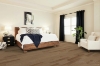 Picture of Shaw Floors - Riverstone Sunkissed