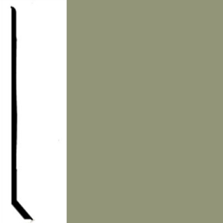 Picture of Johnsonite - Perceptions Designer Contour Gecko