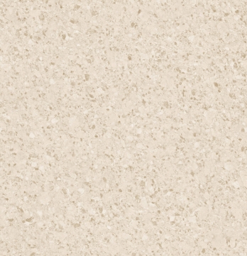 Picture of Six Degrees - Compass 18 x 18 Tampa Bay