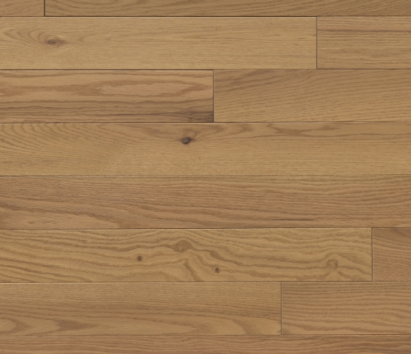 Picture of Appalachian Flooring - Signature Solid 4 1/4 Semi-Gloss Chamomile Red Oak Excel