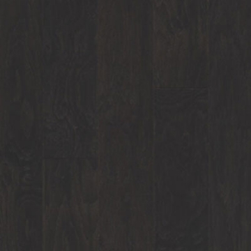 Picture of Capella - Hickory Scrape 3/8 Browned Black