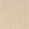 Picture of Armstrong - Standard Excelon Imperial Texture 1/8 Brushed Sand