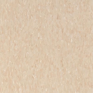 Picture of Armstrong - Standard Excelon Imperial Texture 1/8 Brushed Sand