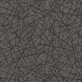 Picture of Aladdin Commercial - Brilliantly Amazed Most Remarkable