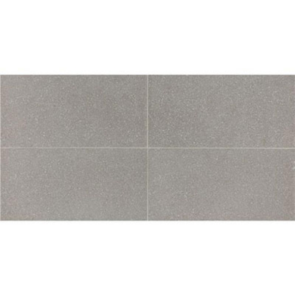 Picture of American Olean - Neospeck 12 x 24 Polished Light Gray