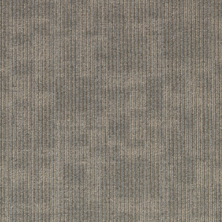 Picture of Aladdin Commercial - Cool Calm Enlighten