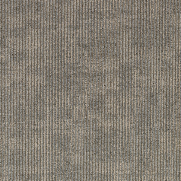 Picture of Aladdin Commercial - Cool Calm Enlighten