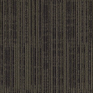 Picture of Aladdin Commercial - Get Moving Graphite