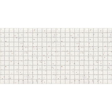 Picture of American Olean - Unglazed ColorBody Mosaic 1 x 1 Salt & Pepper