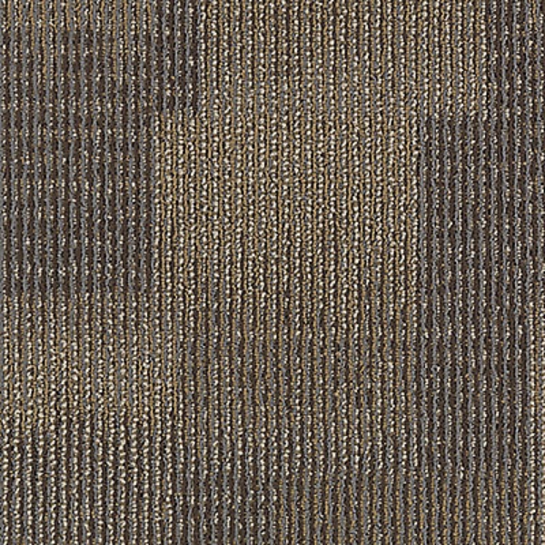 Picture of Aladdin Commercial - Onward Bound Lasting Impression