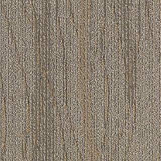 Picture of Aladdin Commercial - Sweeping Gestures Seize Challenge