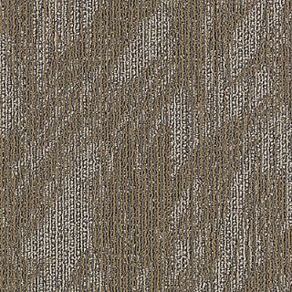 Picture of Aladdin Commercial - Total Visual Empower Wow