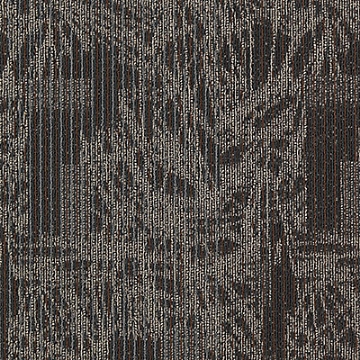 Picture of Aladdin Commercial - Transforming Spaces Visual Edge