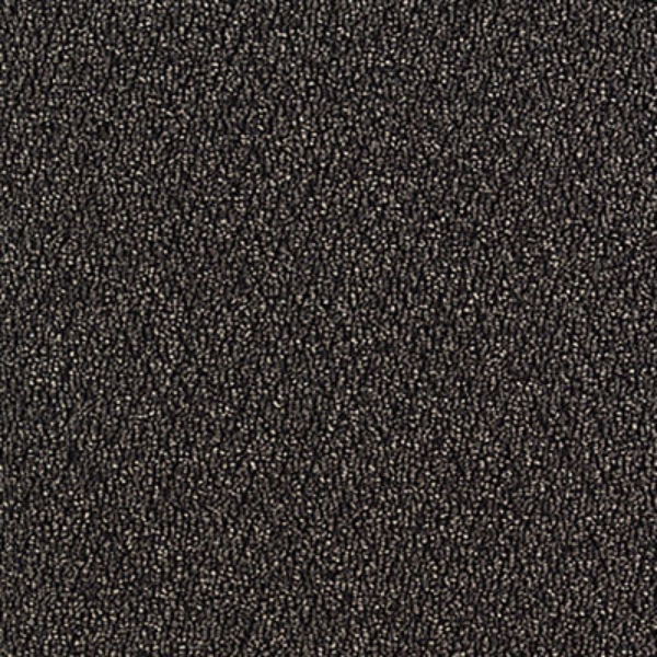 Picture of Aladdin Commercial - Walk The Walk Iron Ore