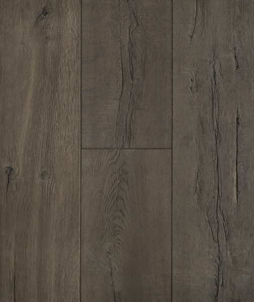 Picture of Lifecore - Anew Transformed