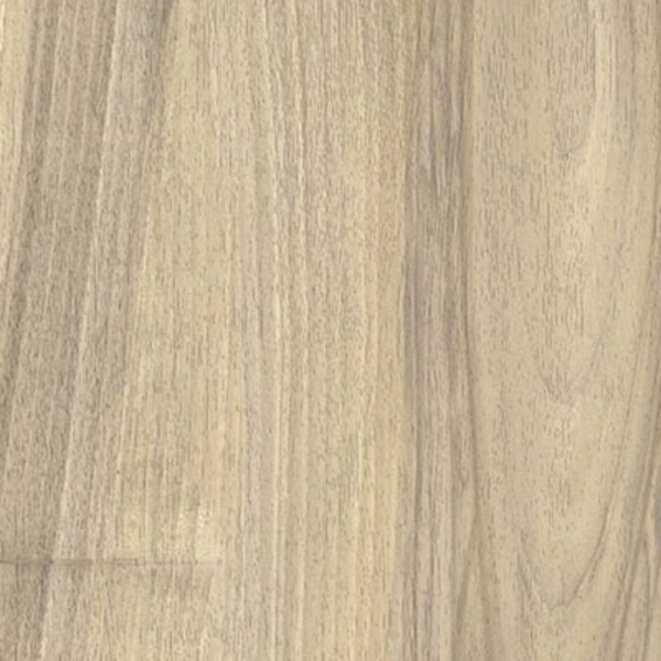 Picture of Castelvetro - More 8 x 32 Meile Grip