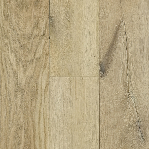 Picture of Lifecore - Anew Treasured Pearl