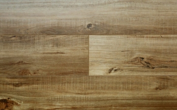 Picture of Audacity - Hearthside Asheville