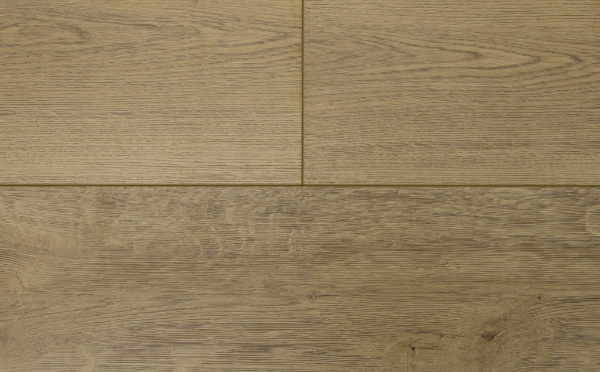 Picture of Audacity - Classica Naturals Oslo