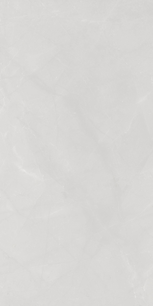 Picture of Tesoro - Walk 12 x 24 White