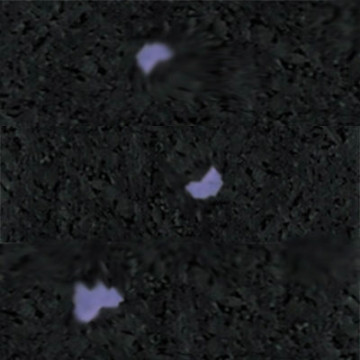 Picture of Amorim - Standard Sports Floor 1/4 Purple