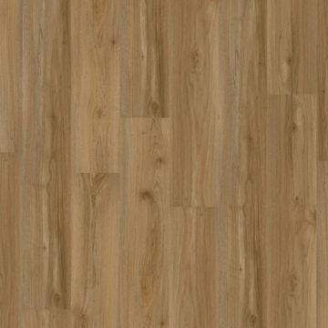 Picture of EarthWerks - Chassis Advantage Backbone