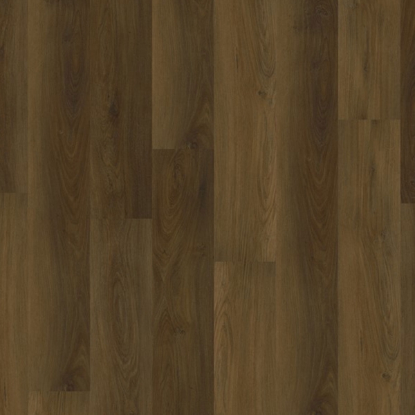 Picture of EarthWerks - Chassis Pro Spitfire