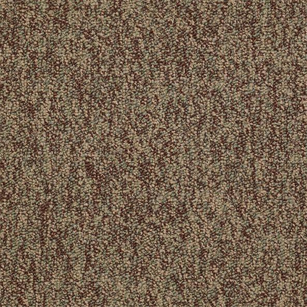 Picture of Philadelphia Commercial by Shaw - No Limits Achievement