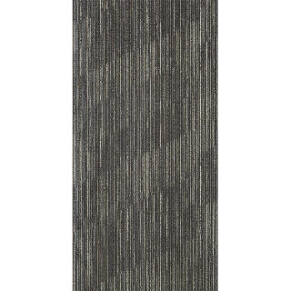 Picture of Philadelphia Commercial by Shaw - Steady Spark