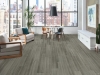 Picture of Philadelphia Commercial by Shaw - Sustain 20 English Grey