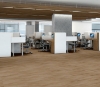 Picture of Philadelphia Commercial by Shaw - Bosk Pro 4 Limed Oak