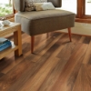 Picture of Shaw Floors - Endura Plus Amber Oak